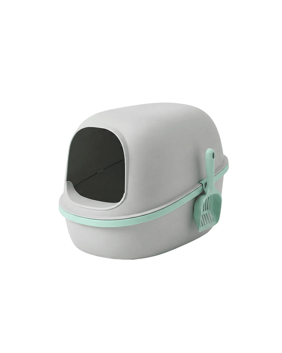 Rectangle 108 (31) (1)