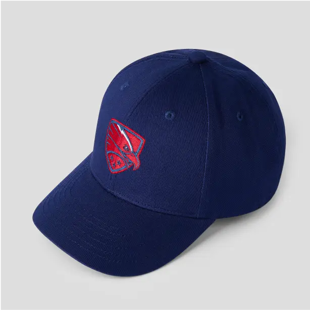 Custom Unlimited Embroidery Hats 5