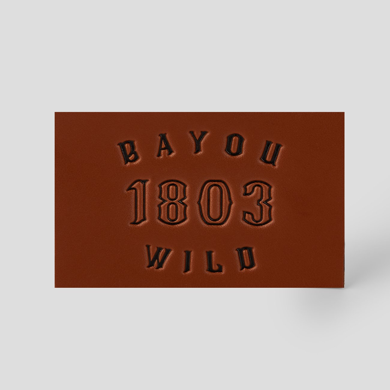 LY6_0397