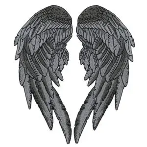 angel-wings-300x300