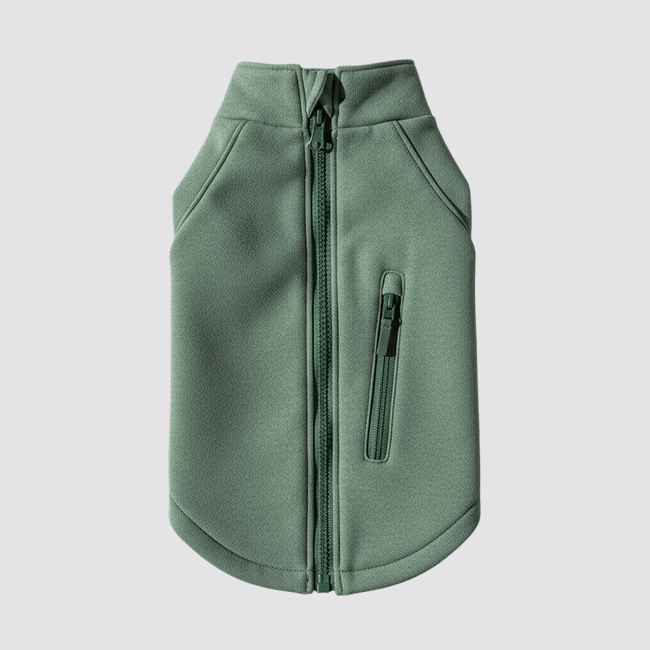 dog clothes in bulk THE STUDIO