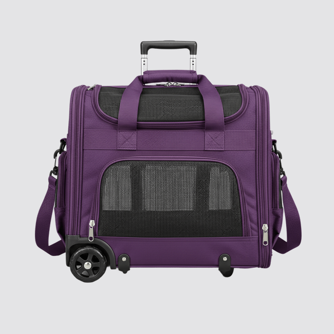 buy pet carrier in bulk
