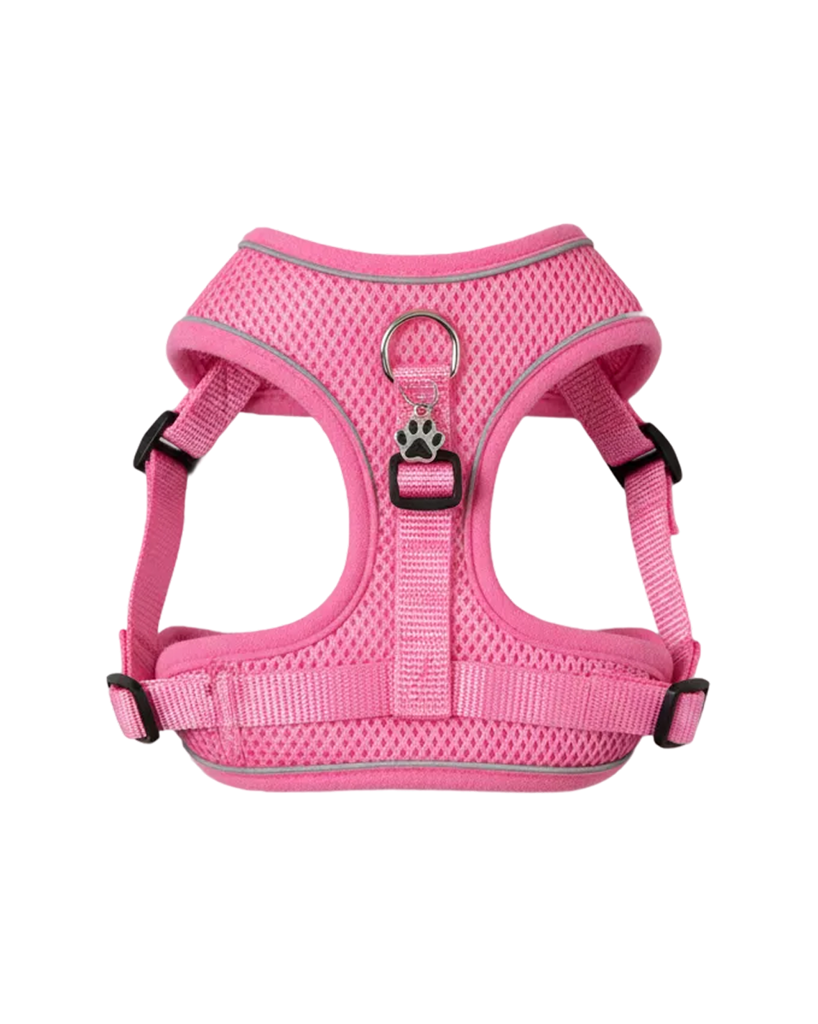 Picture Idea: Source Custom Cat Harness With The Studio